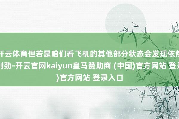 开云体育但若是咱们看飞机的其他部分状态会发现依然很离别劲-开云官网kaiyun皇马赞助商 (中国)官方网站 登录入口