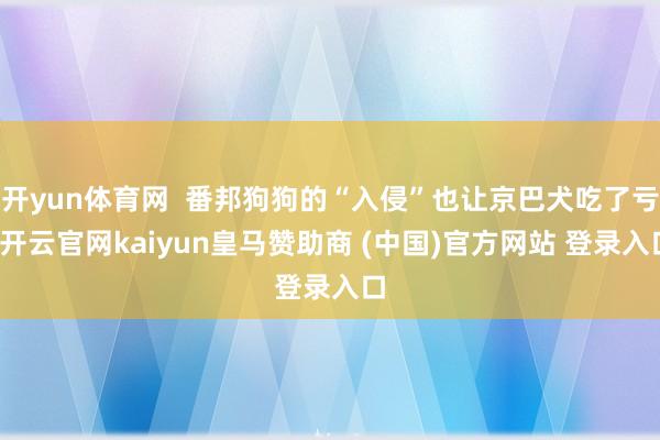 开yun体育网  番邦狗狗的“入侵”也让京巴犬吃了亏-开云官网kaiyun皇马赞助商 (中国)官方网站 登录入口