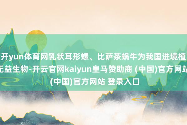 开yun体育网乳状耳形螺、比萨茶蜗牛为我国进境植物检疫性无益生物-开云官网kaiyun皇马赞助商 (中国)官方网站 登录入口