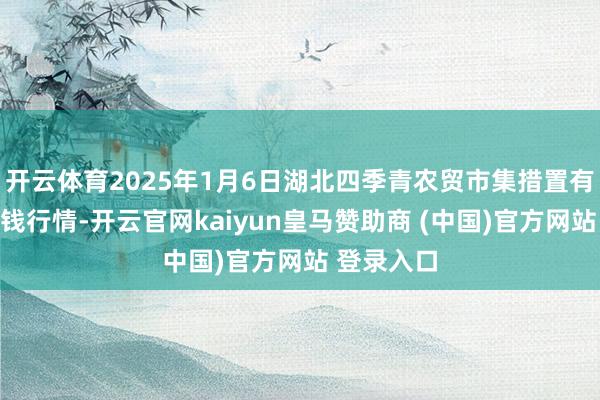 开云体育2025年1月6日湖北四季青农贸市集措置有限公司价钱行情-开云官网kaiyun皇马赞助商 (中国)官方网站 登录入口
