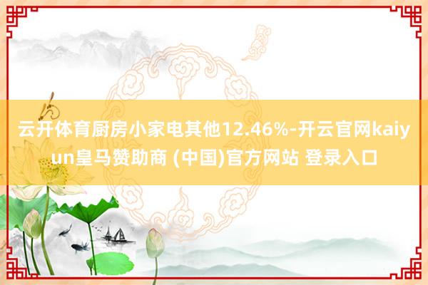云开体育厨房小家电其他12.46%-开云官网kaiyun皇马赞助商 (中国)官方网站 登录入口