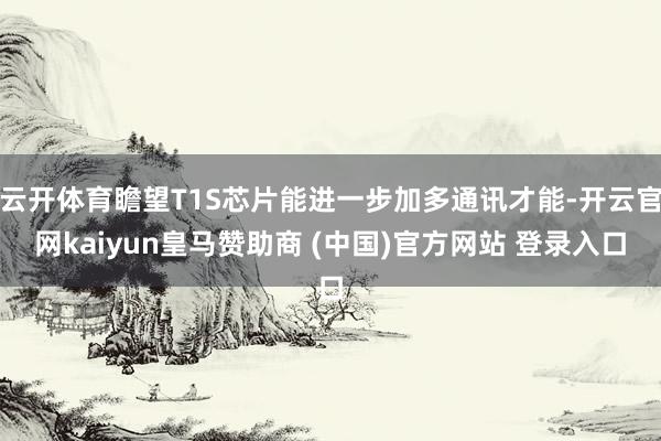 云开体育瞻望T1S芯片能进一步加多通讯才能-开云官网kaiyun皇马赞助商 (中国)官方网站 登录入口