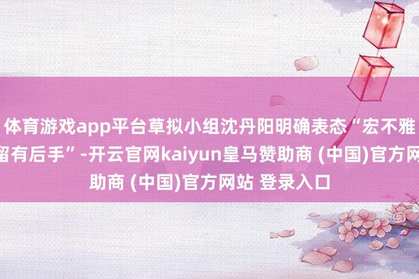 体育游戏app平台草拟小组沈丹阳明确表态“宏不雅经济政策还留有后手”-开云官网kaiyun皇马赞助商 (中国)官方网站 登录入口
