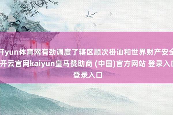开yun体育网有劲调度了辖区顺次褂讪和世界财产安全-开云官网kaiyun皇马赞助商 (中国)官方网站 登录入口