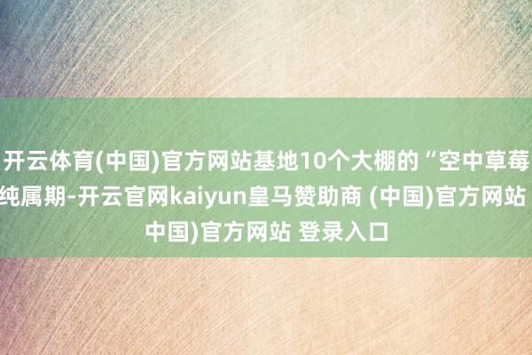 开云体育(中国)官方网站基地10个大棚的“空中草莓”已插足纯属期-开云官网kaiyun皇马赞助商 (中国)官方网站 登录入口